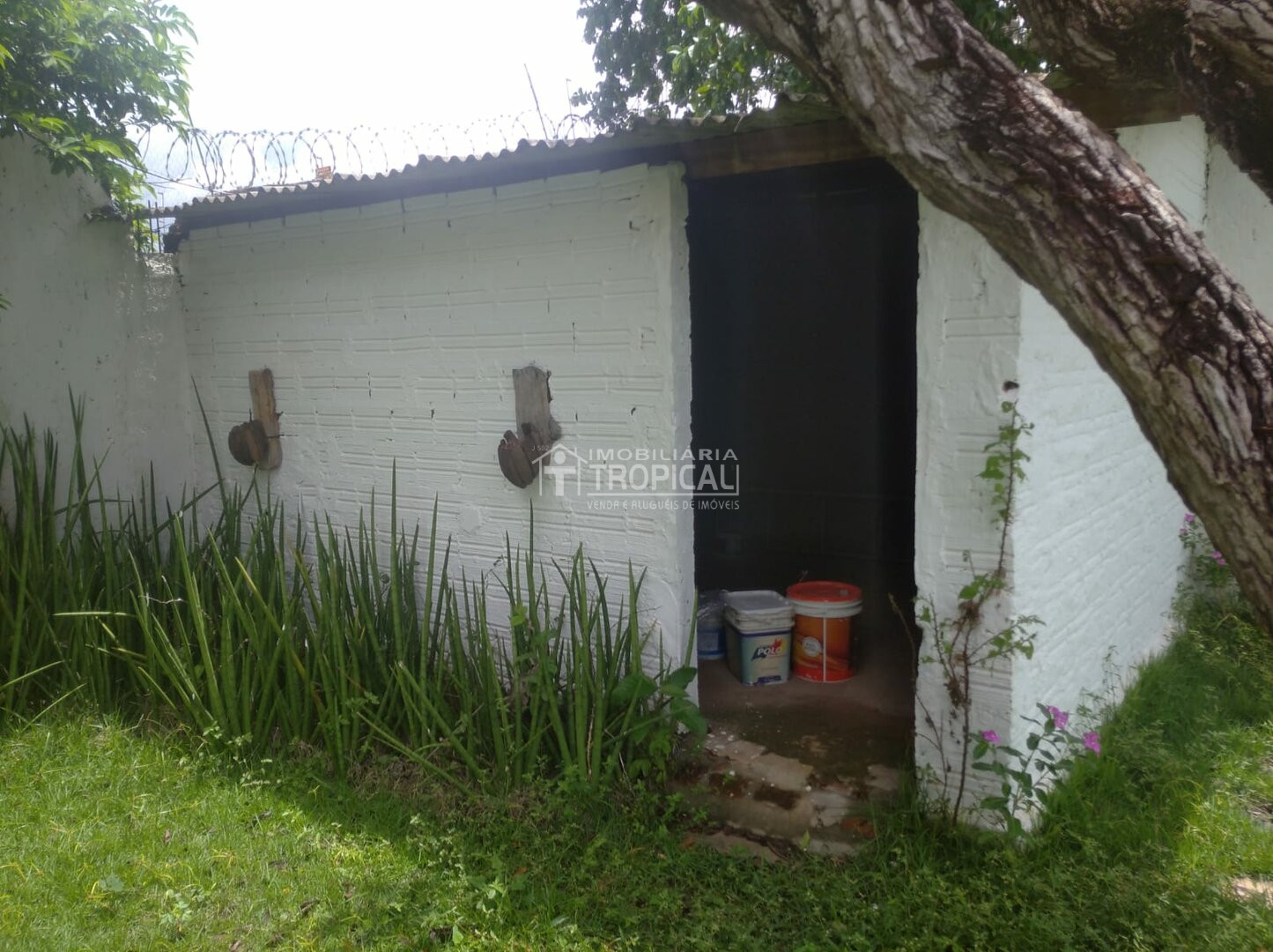 Alugar Casa